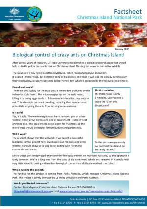 Biological Control of Crazy Ants on Christmas Island