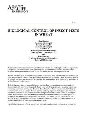 Biological Control of Insect Pests in Wheat