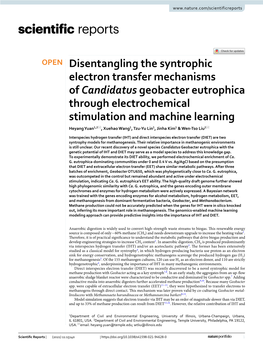 Disentangling the Syntrophic Electron Transfer Mechanisms of Candidatus Geobacter Eutrophica Through Electrochemical Stimulation