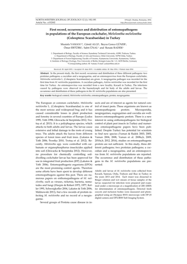 First Record, Occurrence and Distribution of Entomopathogens in Populations of the European Cockchafer, Melolontha Melolontha (Coleoptera: Scarabaeidae) in Turkey