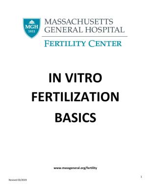In Vitro Fertilization Basics