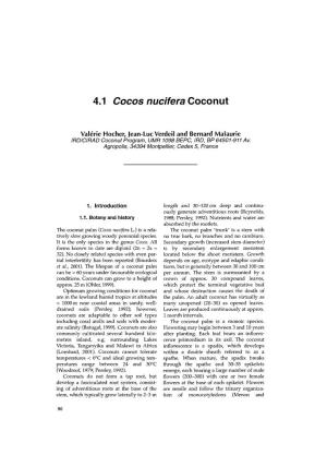 4.1 Cocos Nucifera Coconut