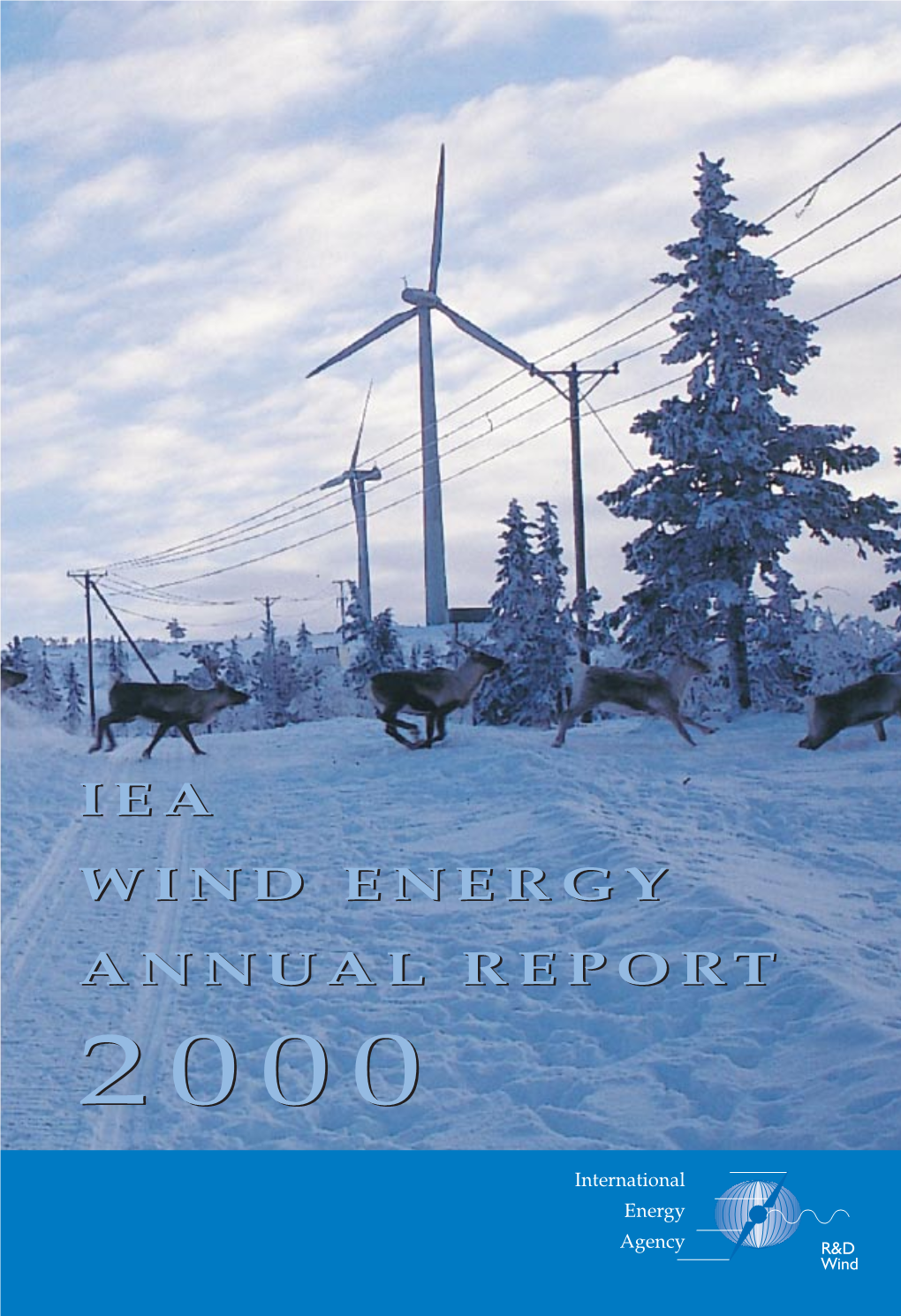 IEA Wind Energy Annual Report 2000