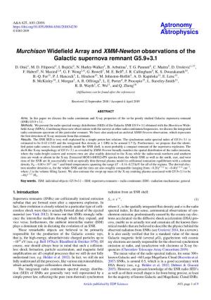 Murchison Widefield Array and XMM-Newton Observations of The