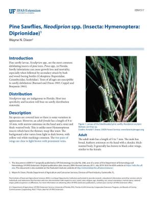 Pine Sawflies, Neodiprion Spp. (Insecta: Hymenoptera: Diprionidae)1 Wayne N