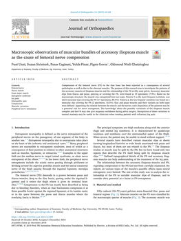 Macroscopic Observations of Muscular Bundles of Accessory Iliopsoas Muscle As the Cause of Femoral Nerve Compression T