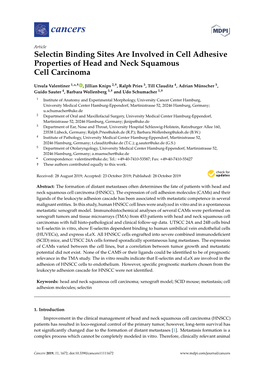 Selectin Binding Sites Are Involved in Cell Adhesive Properties of Head and Neck Squamous Cell Carcinoma