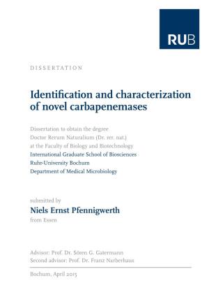 Identifiication and Characterization of Novel Carbapenemases