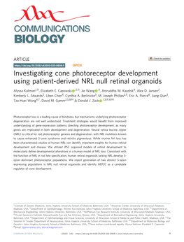 Investigating Cone Photoreceptor Development Using Patient-Derived NRL Null Retinal Organoids