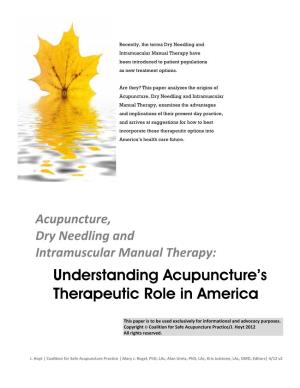 Understanding Acupuncture's Therapeutic Role in America