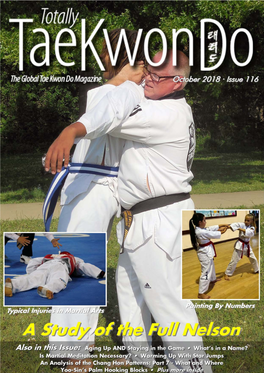 Totally Tae Kwon Do Magazine Continues Its Serialisation of the Dojang, a Novel by Marek Handzel