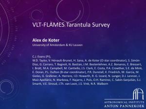VLT-FLAMES Tarantula Survey