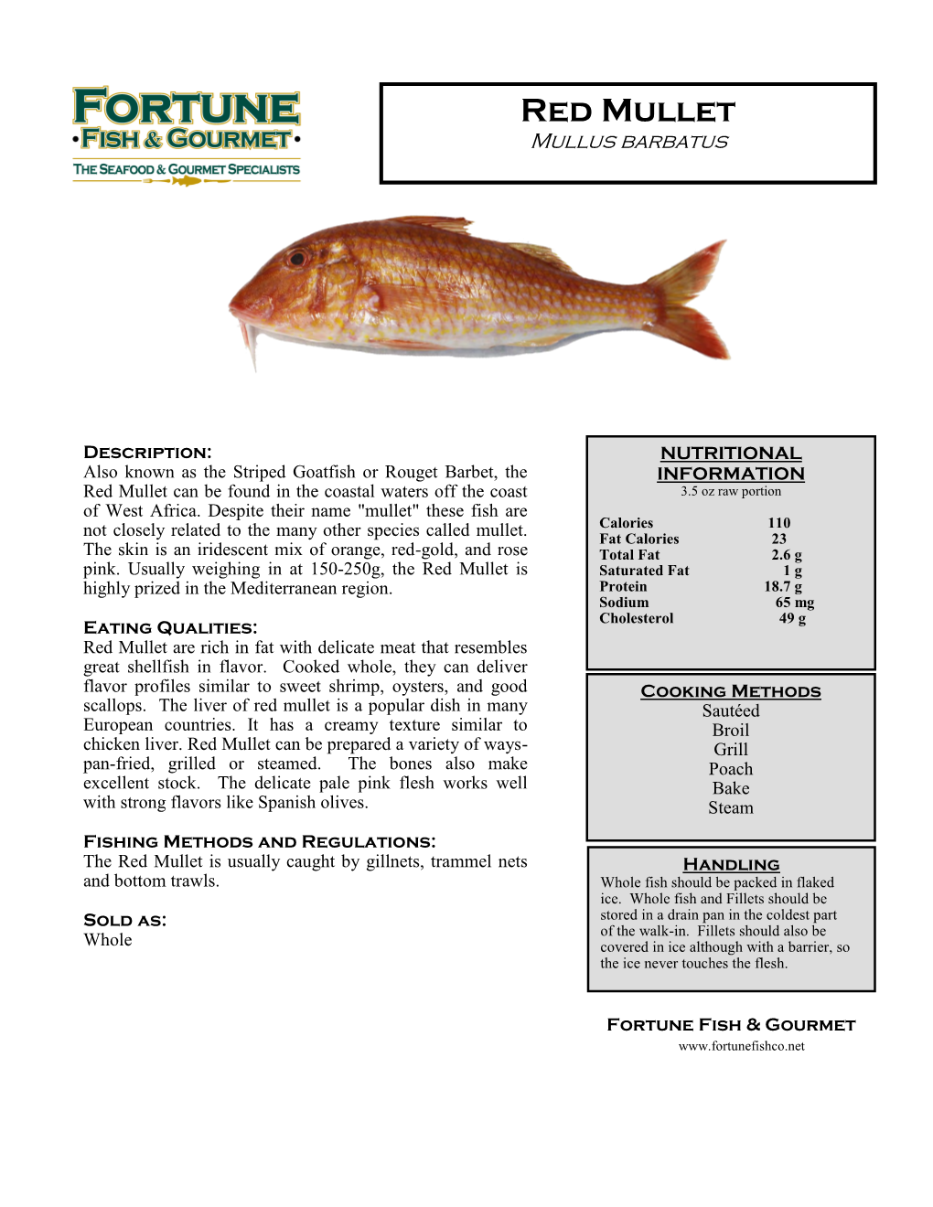 Red Mullet Mullus Barbatus