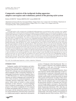 Comparative Analysis of the Tardigrade Feeding Apparatus: Adaptive Convergence and Evolutionary Pattern of the Piercing Stylet System