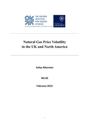 Natural Gas Price Volatility in the UK and North America