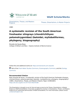 A Systematic Revision of the South American Freshwater Stingrays (Chondrichthyes: Potamotrygonidae) (Batoidei, Myliobatiformes, Phylogeny, Biogeography)