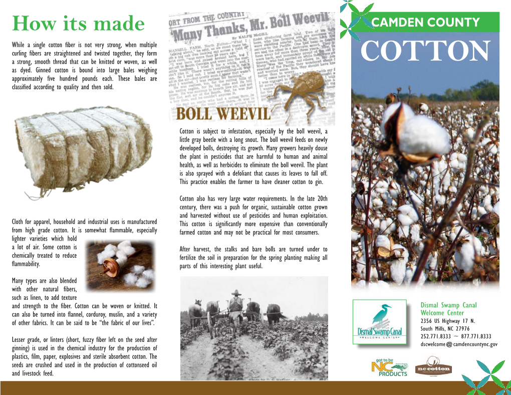 Cotton Brochure