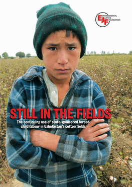 Still in the Fields: the Continuing Use
