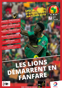 Spécial Coupe D'afrique Des Nations 2019