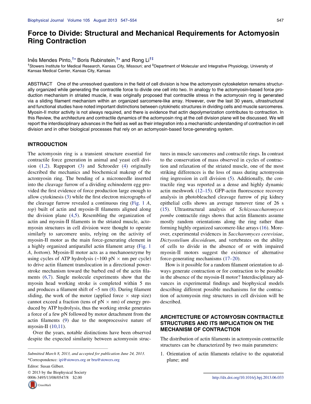 Force to Divide: Structural and Mechanical Requirements for Actomyosin Ring Contraction