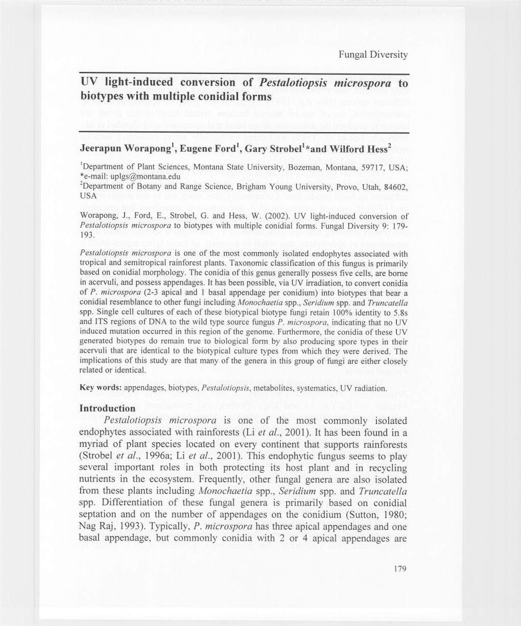 DV Light-Induced Conversion of Pestalotiopsis Microspora to Biotypes with Multiple Conidial Forms