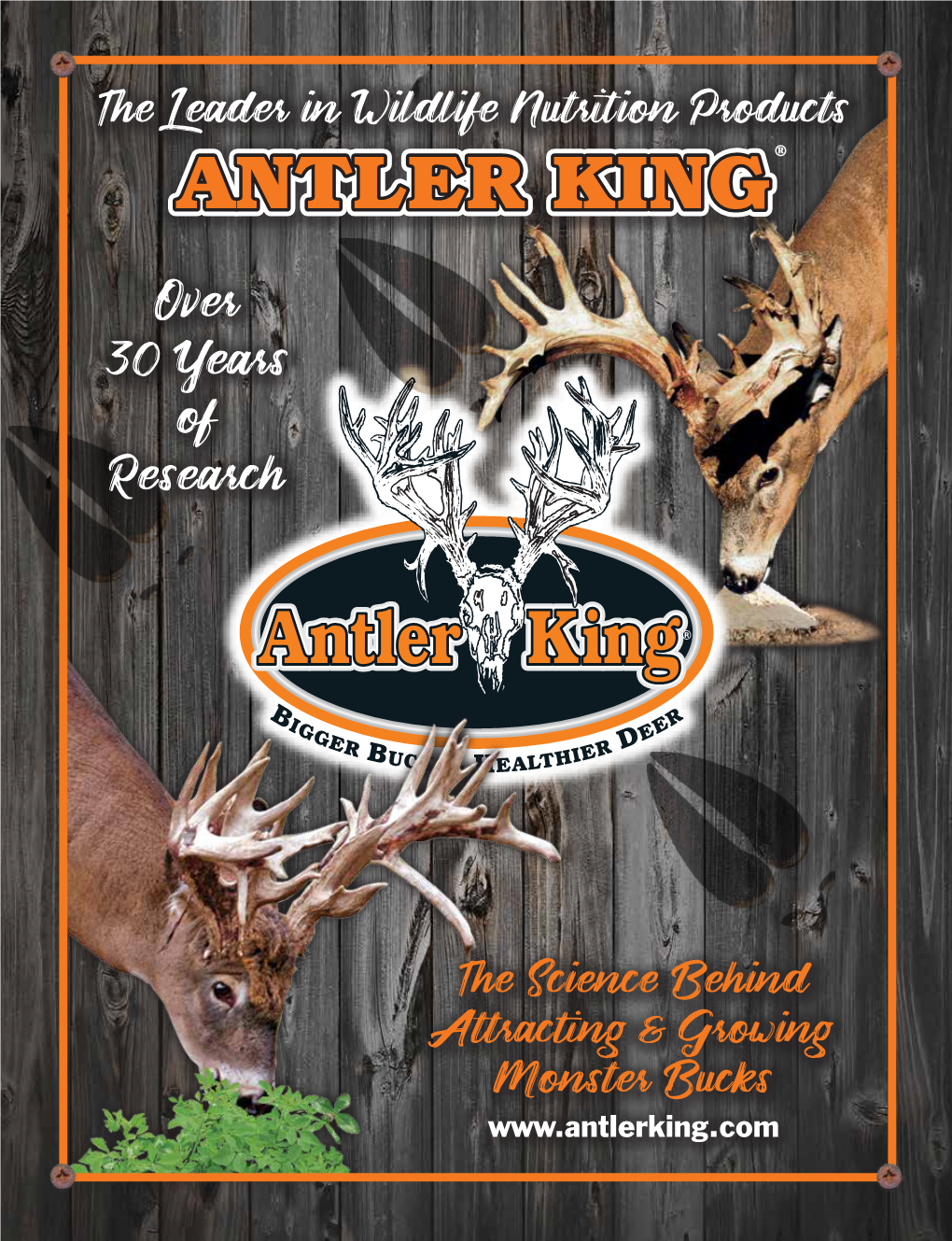 Antler King® Trophy Clover Mix with Chicory