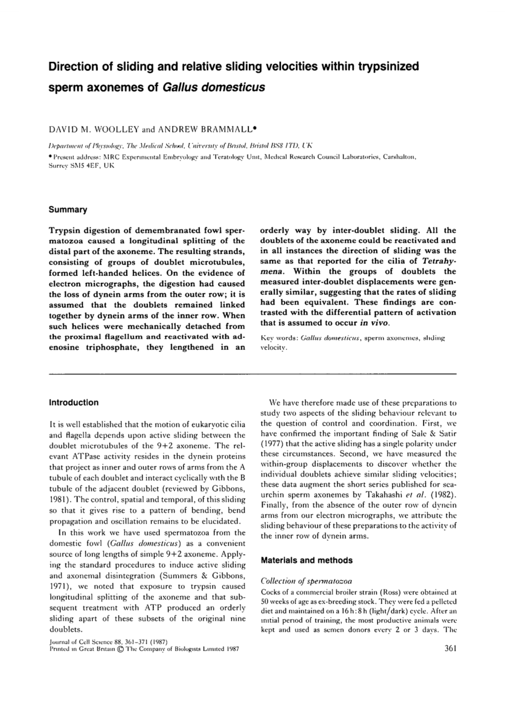 Direction of Sliding and Relative Sliding Velocities Within Trypsinized Sperm Axonemes of Gallus Domesticus