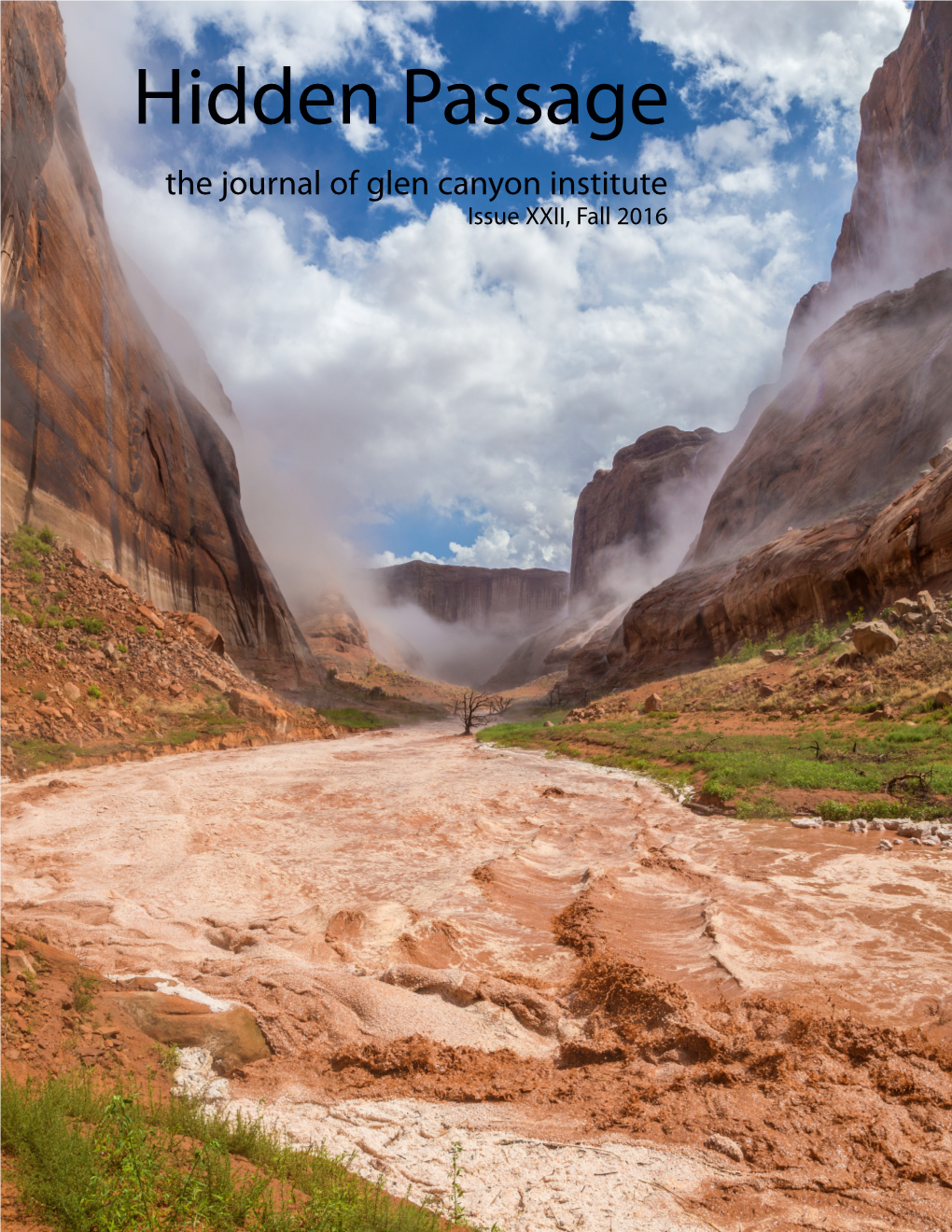 Hidden Passage the Journal of Glen Canyon Institute Issue XXII, Fall 2016 Reflecting on 20 Years of Glen Canyon Institute
