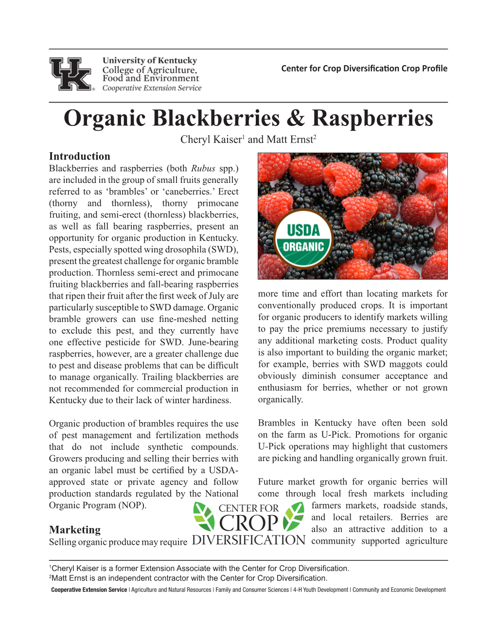 Organic Blackberries & Raspberries