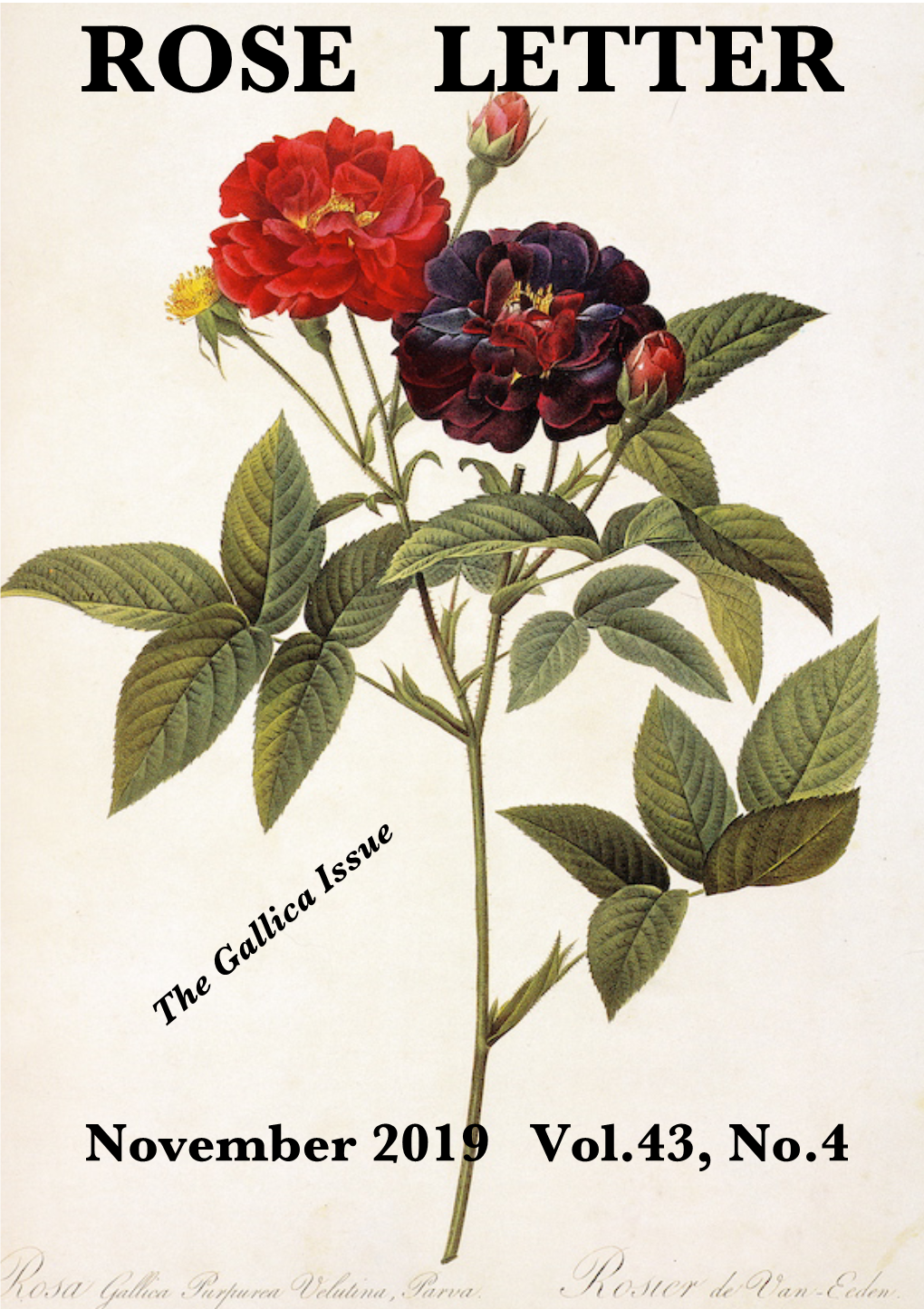 November 2019 Vol.43, No.4 ROSE LETTER the HERITAGE ROSES GROUP © Editor: Darrell G.H