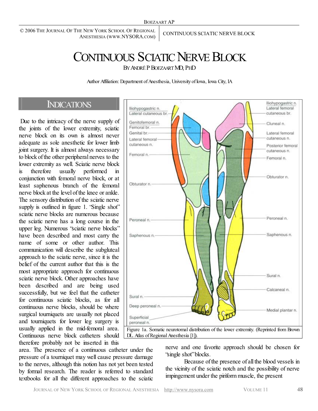 Continuous Sciatic Nerve Block Anesthesia (