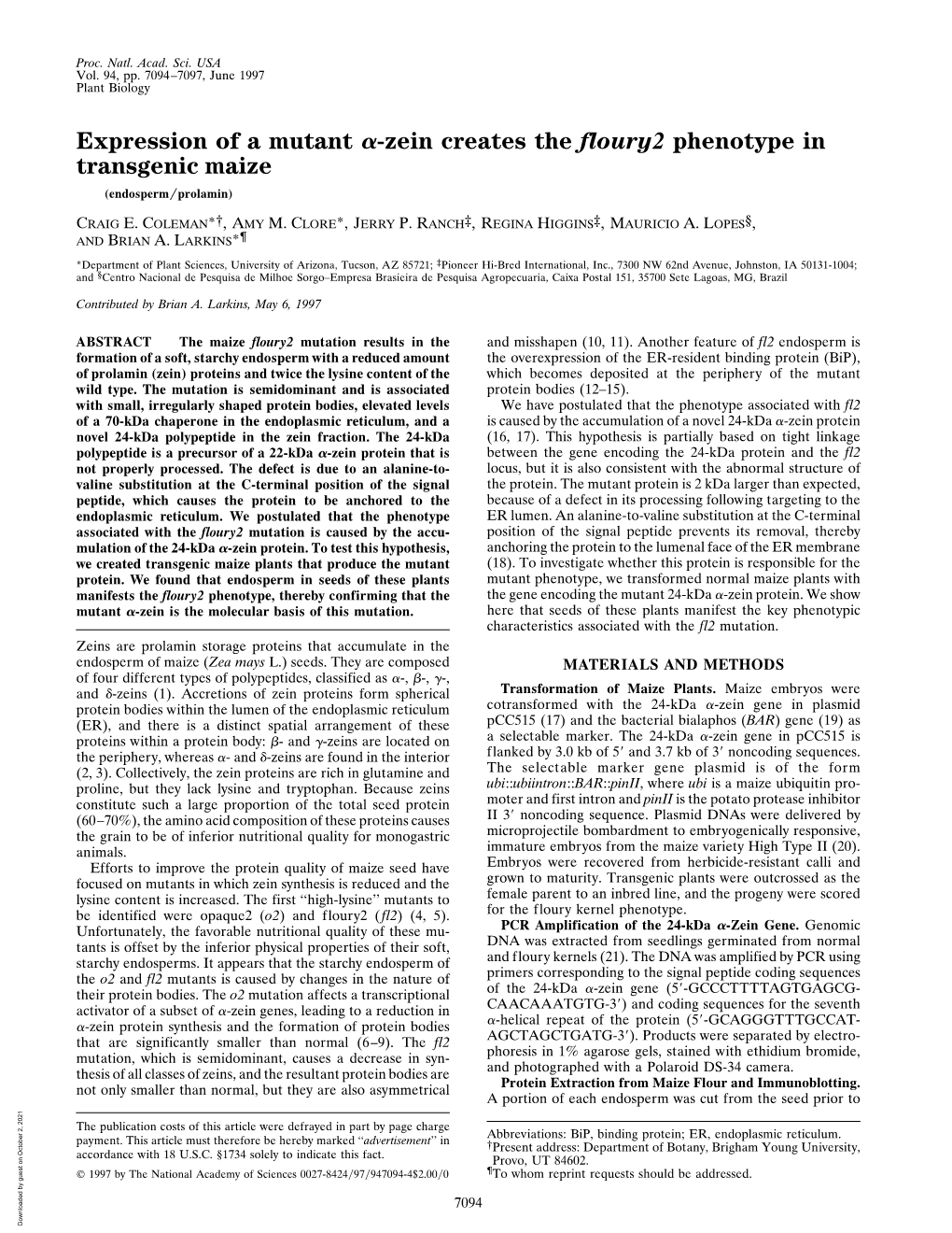 Zein Creates the Floury2 Phenotype in Transgenic Maize (Endosperm͞prolamin)