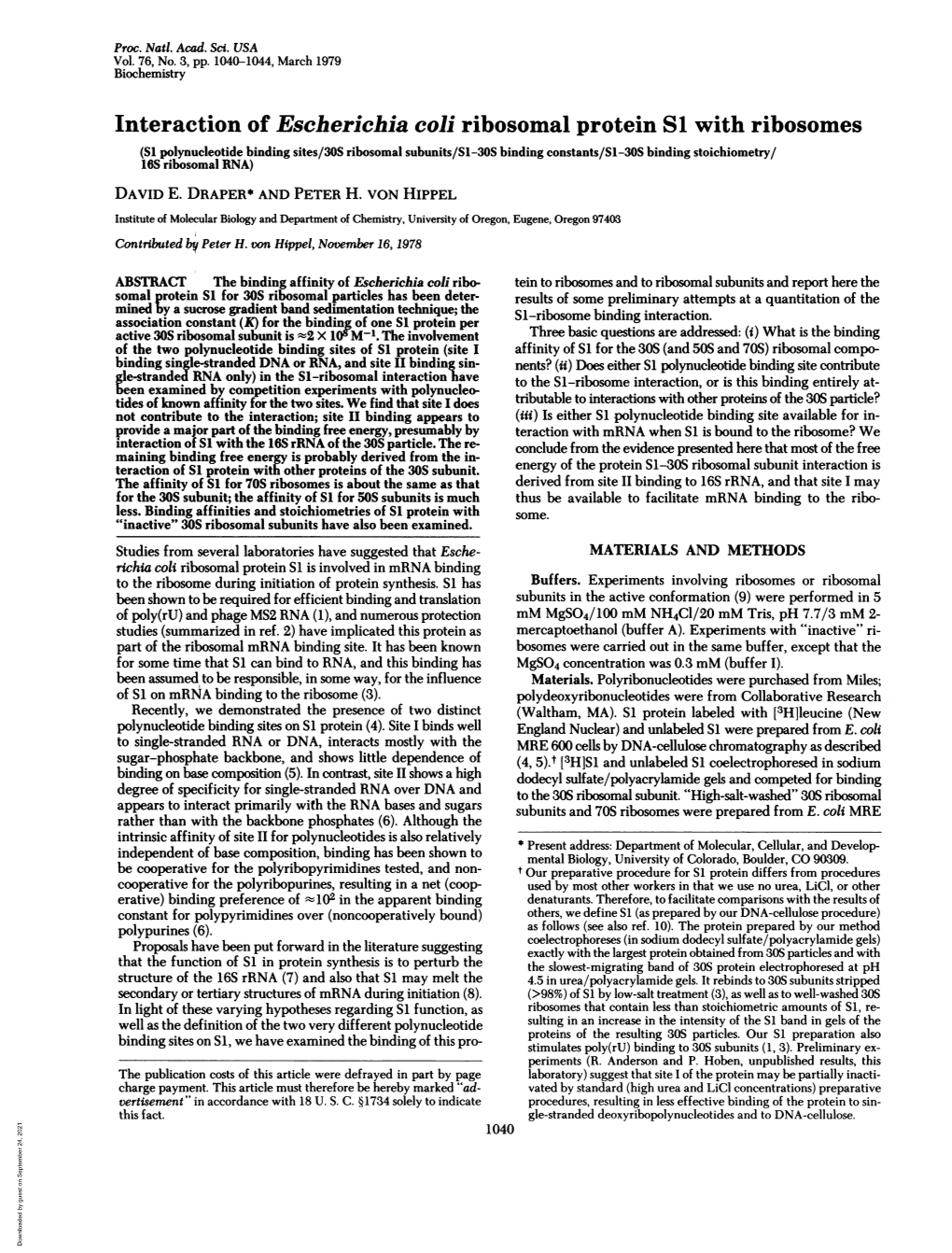 Interaction of Escherichia Coli Ribosomal Protein S1 with Ribosomes