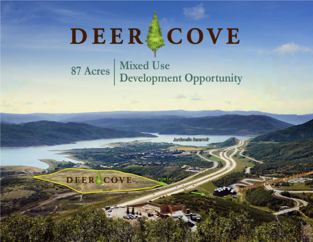 Deer Cove Pitch Book 011216