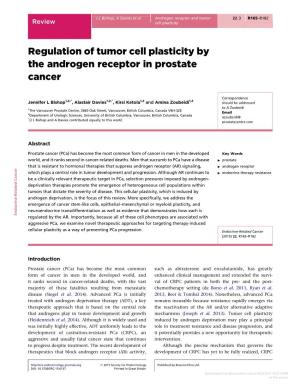 Regulation of Tumor Cell Plasticity by the Androgen Receptor in Prostate Cancer