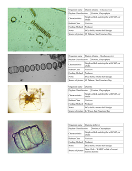 Flashcards: Marine Organisms