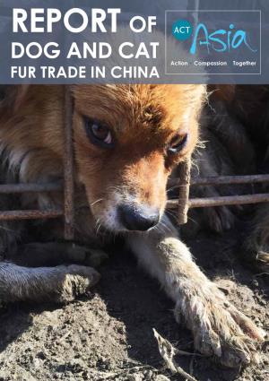 Report of Dog and Cat Fur Trade in China