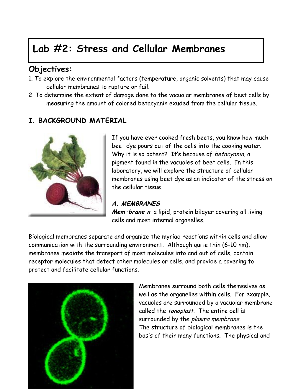 Lab #3 Organic Compounds and Biological Membranes