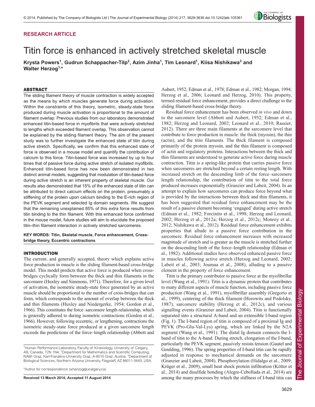 Titin Force Is Enhanced in Actively Stretched Skeletal Muscle