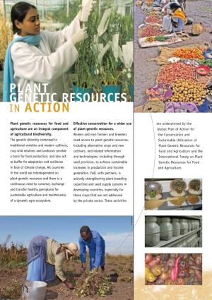 Plant Genetic Resources in Action