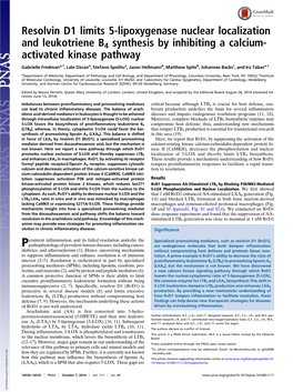 Resolvin D1 Limits 5-Lipoxygenase Nuclear Localization and Leukotriene B4 Synthesis by Inhibiting a Calcium- Activated Kinase Pathway