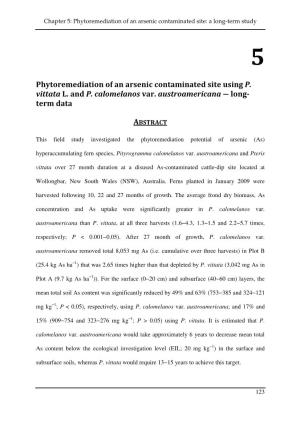 Phytoremediation of an Arsenic Contaminated Site Using P. Vittata L