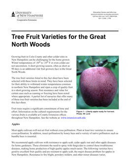 Tree Fruit Varieties for the Great North Woods