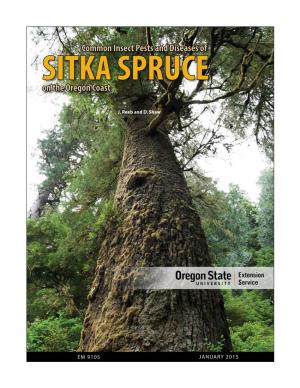 Common Insect Pests and Diseases of SITKA SPRUCE on the Oregon Coast