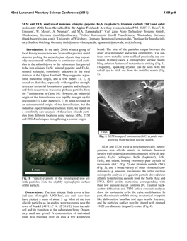 SEM and TEM Analyses of Minerals Xifengite, Gupeiite, Fe2si (Hapkeite