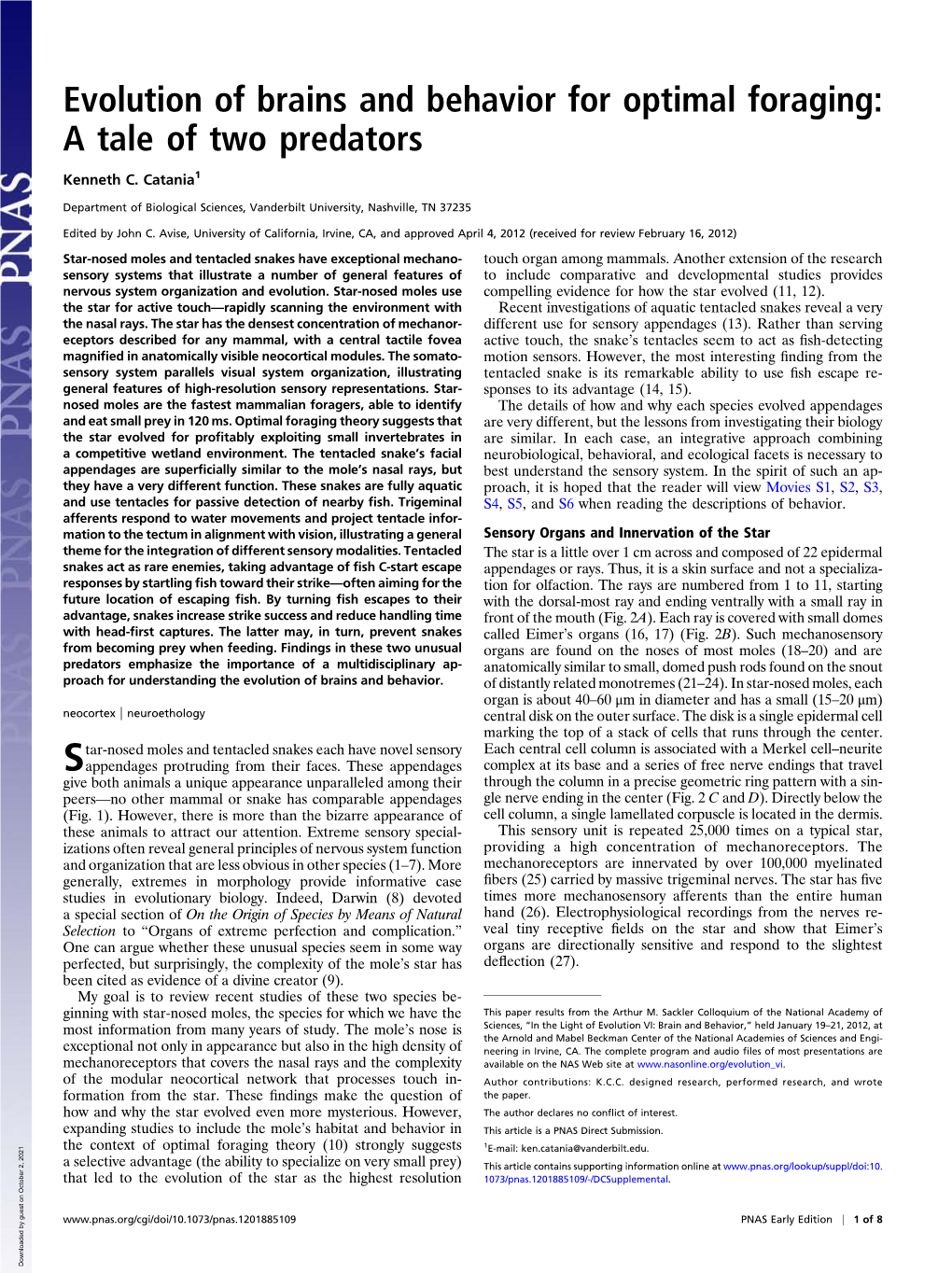 Evolution of Brains and Behavior for Optimal Foraging: a Tale of Two Predators