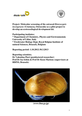 Molecular Screening of the Ostracod Heterocypris Incongruens (Crustacea, Ostracoda) As a Pilot Project to Develop an Ecotoxocilogical Development Kit