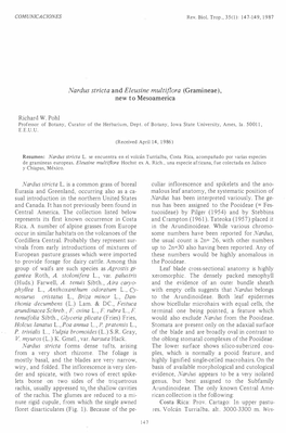 Nardus Stricta and Eleusine Multiflora (Gramineae)