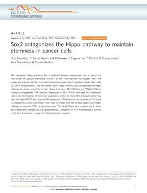 Sox2 Antagonizes the Hippo Pathway to Maintain Stemness in Cancer Cells