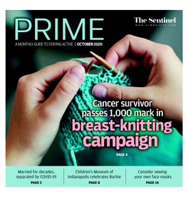 Breast-Knitting Campaign PAGE 4